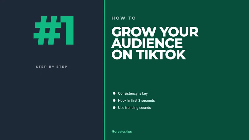 TikTok Landscape — Tutorial Thumbnail